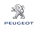 Glasses for headlights - PEUGEOT