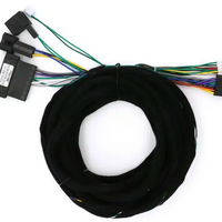 Optical Fiber Decoder Box for Mercedes Benz, Porsche Cayenne