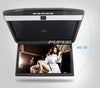 15'' Car Roof Mount Display